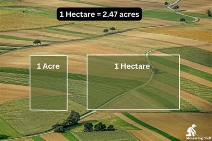 How many square feet makes a hectare?
