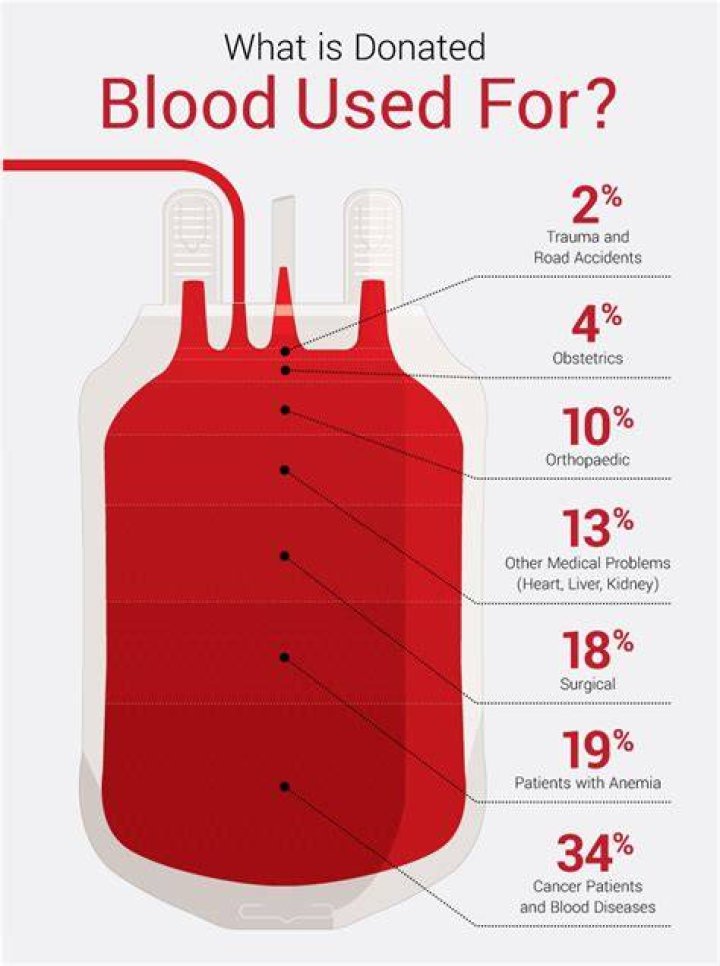 How much blood can a person donate in a day?