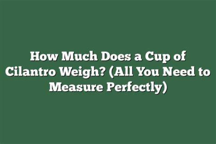 How much does 1 cup chopped cilantro weigh?