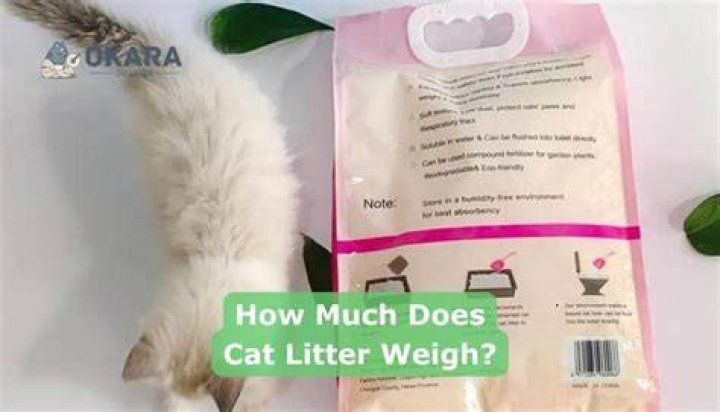 How much does 1 liter of cat litter weigh?