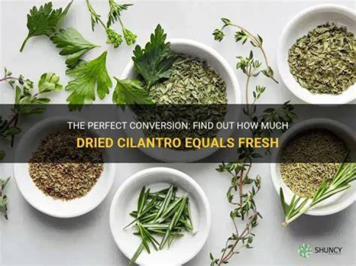 How much dried cilantro is equal to fresh?