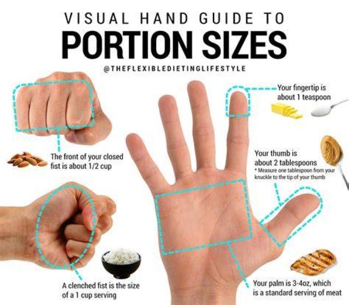 How much is a palm sized serving?