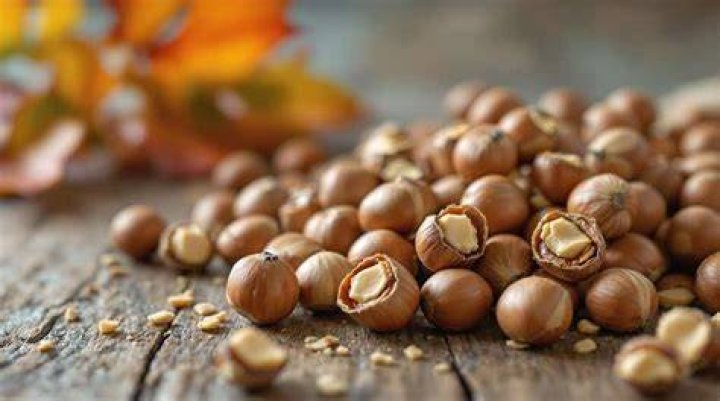 How much is an ounce of hazelnuts?