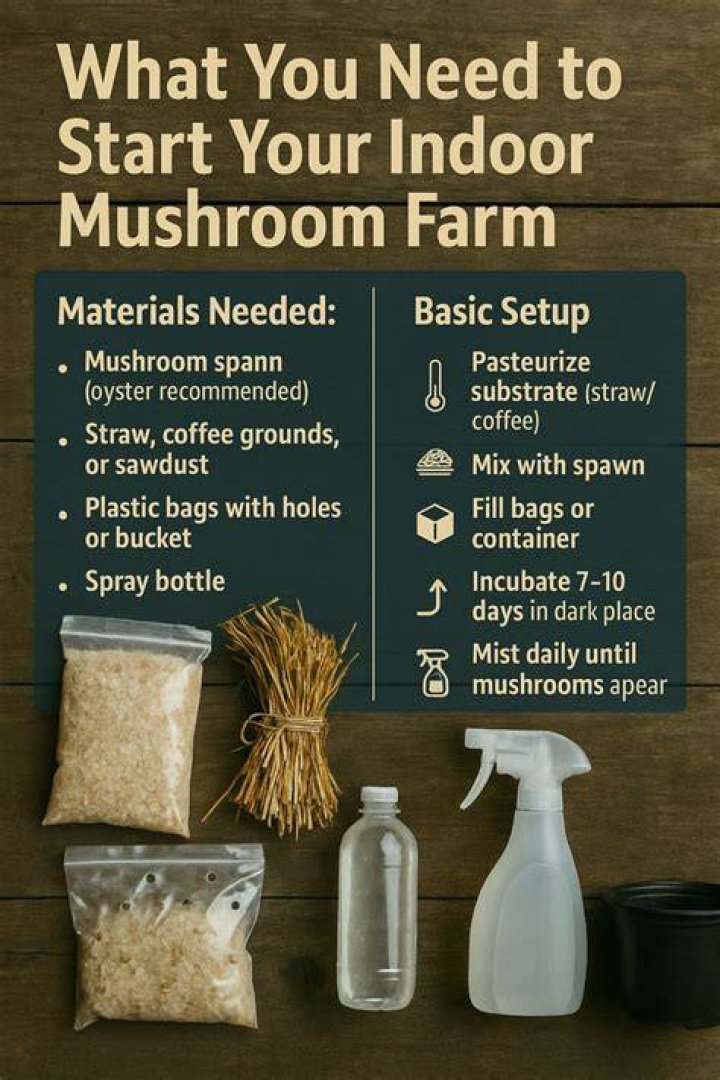 How much space do you need to start a mushroom farm?