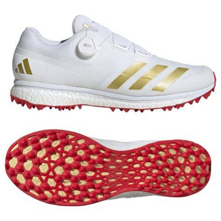 Is boost compatible with cricket?