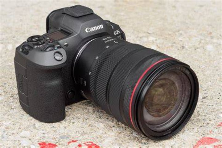 Is Canon EOS a professional camera?