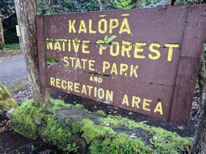 Is Kalopa Park open?