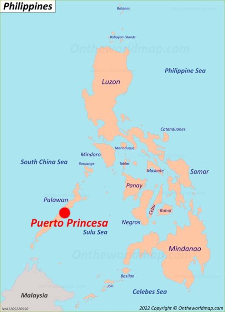 Is Puerto Princesa in Luzon or Visayas?