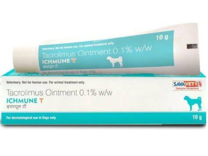Is tacrolimus harmful to dogs?