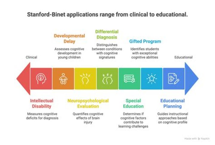 Is the online Stanford-Binet test accurate?