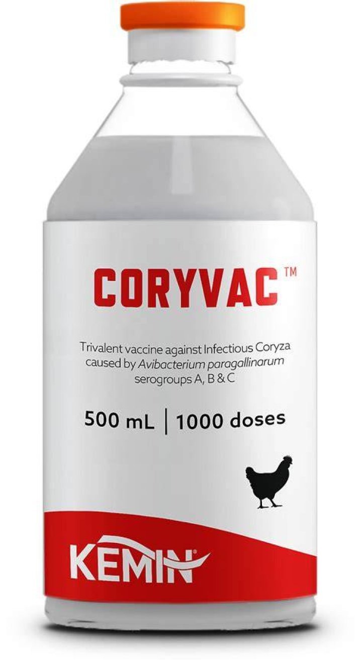 Is there a vaccine for coryza?