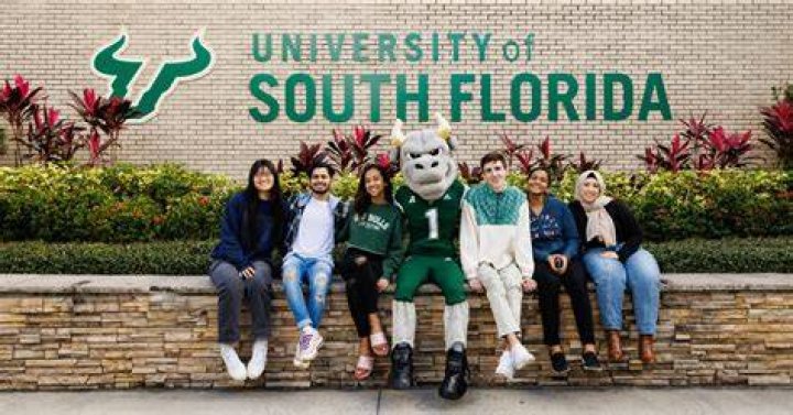 Is University of South Florida a good nursing school?