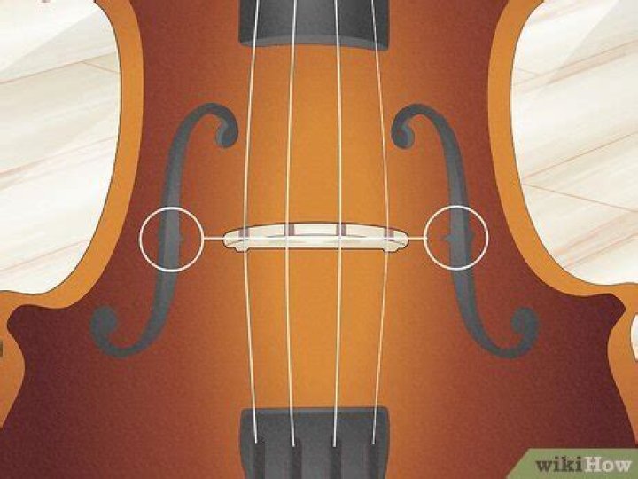 Should a violin bridge have notches?
