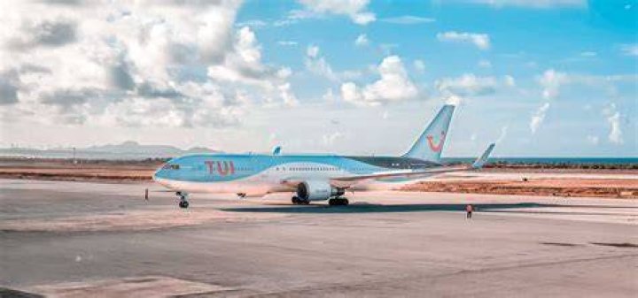 What airlines fly out of Baltimore airport?