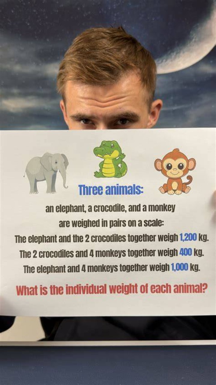 What animal weighs 300g?