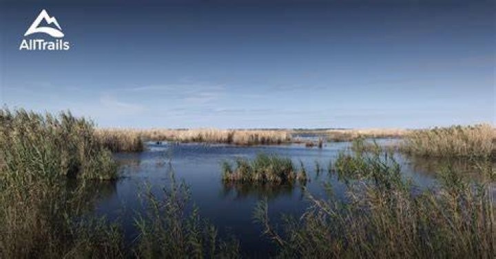 What animals are at Anahuac National Wildlife Refuge?