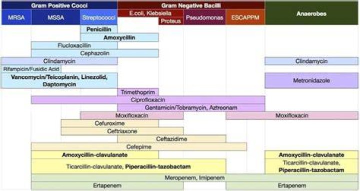 What antibiotic covers Listeria?