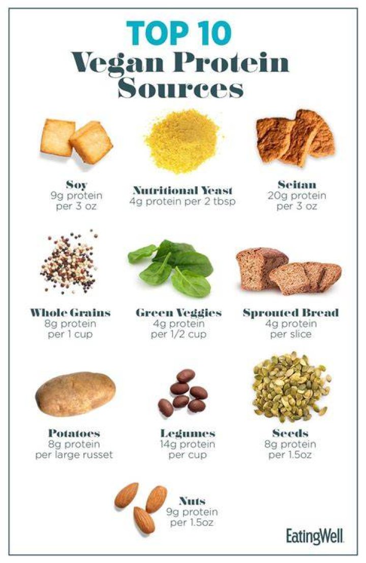 What are 4 sources of protein for a vegetarian?