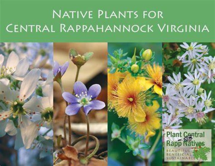 What are 5 native plants in Virginia?