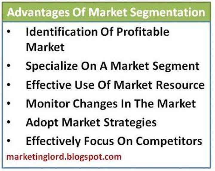 What are advantages of market segmentation?