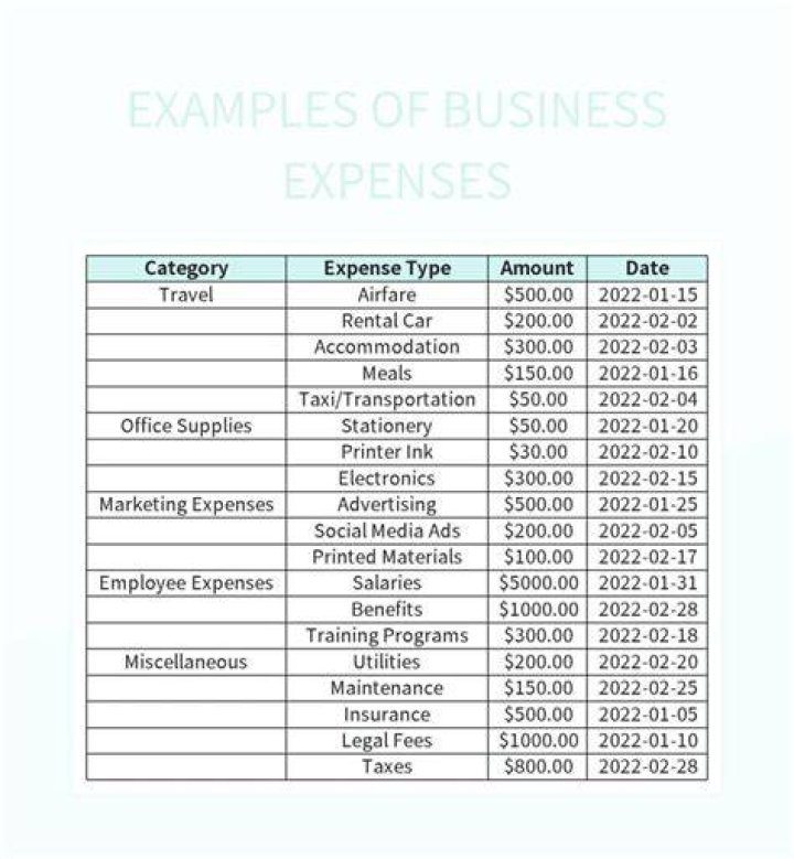 What are expenses examples?