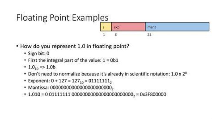 What are fixed and floating point representations give examples?