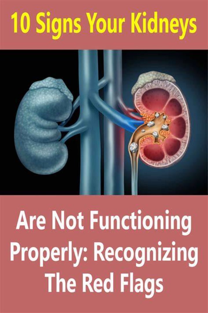 What are signs that your kidney is not functioning properly?