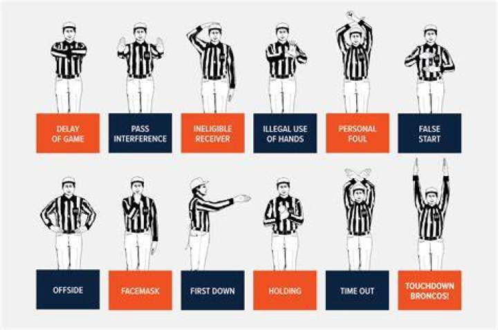 What are swim refs called?