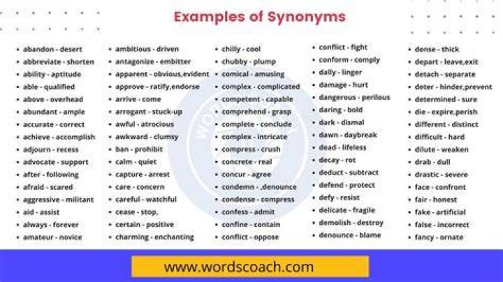 What are synonyms for new?
