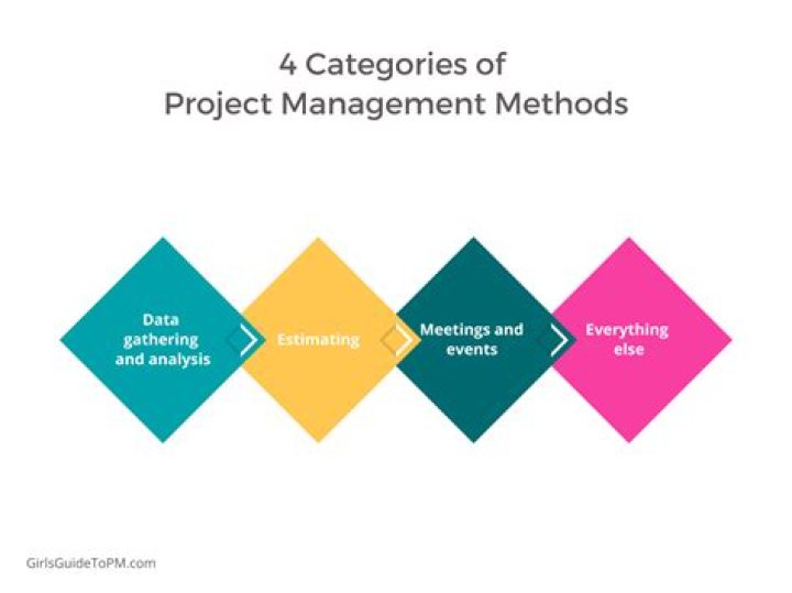 What are the 4 types of project management?