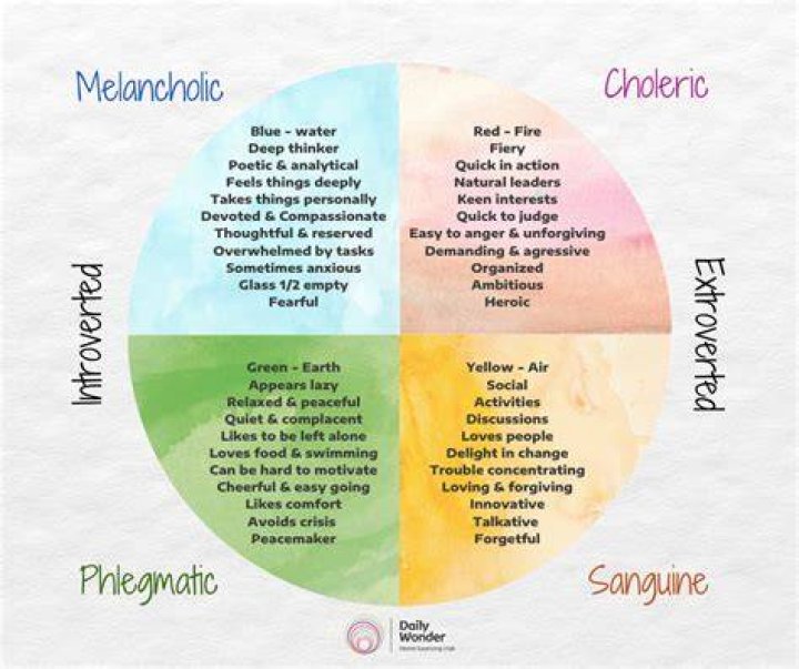 What are the 4 types of temperaments?