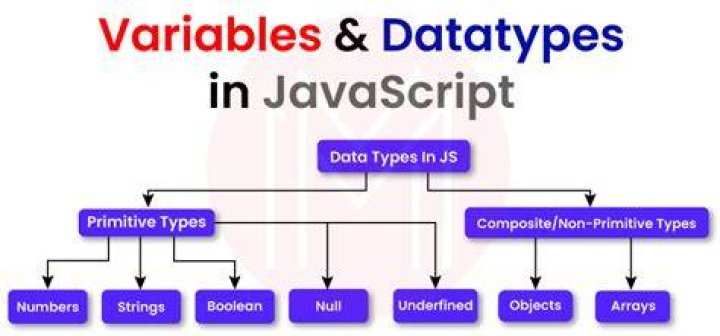 What are the different types of variables in JavaScript?