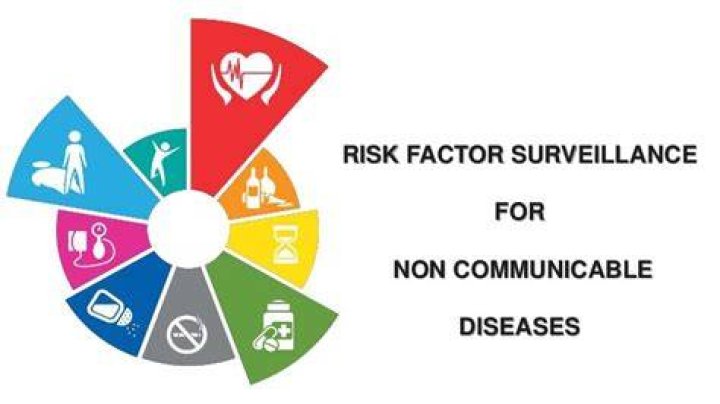 What are the risk factor of non communicable disease?
