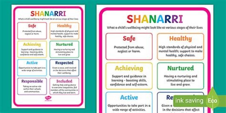 What are the Shanarri principles?