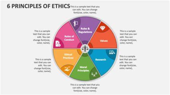 What are the six ethical issues?