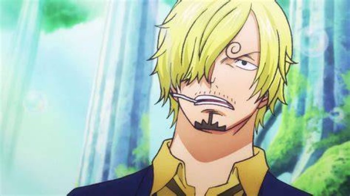 What did Sanji do during the time skip?