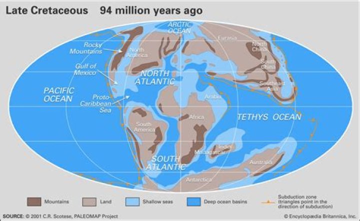 What did the Earth look like during the Cretaceous extinction?