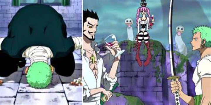 What did Zoro do during time skip?