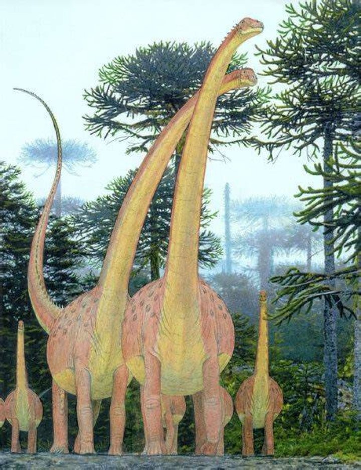 What dinosaur is bigger than Argentinosaurus?