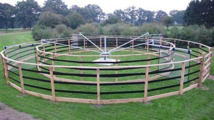 What do horse exercisers do?