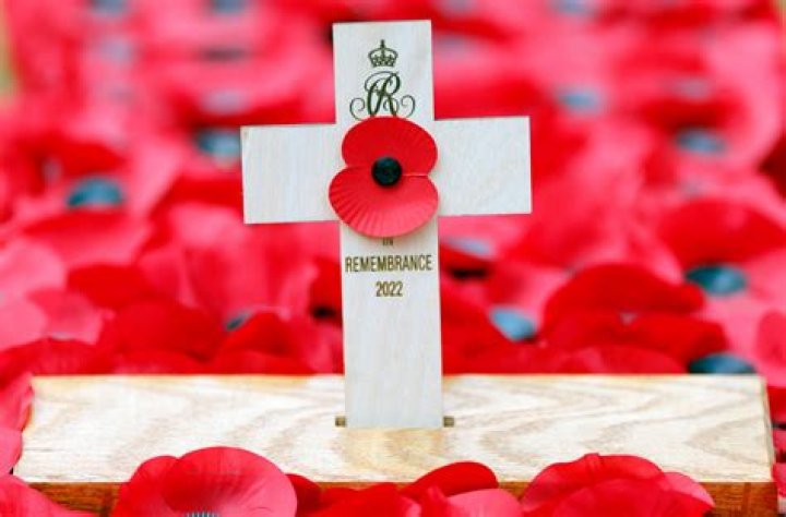 What do poppies symbolize?