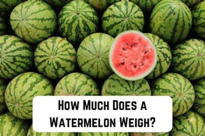 What does 1 cup watermelon weigh?