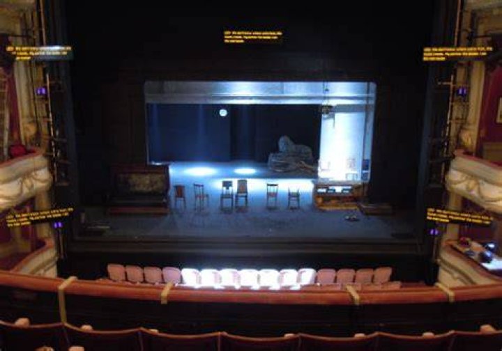 What does a captioned performance look like?
