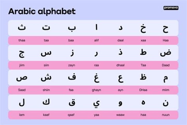 What does Chaabi mean?