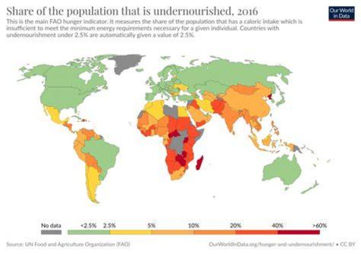 What does global undernourishment mean?