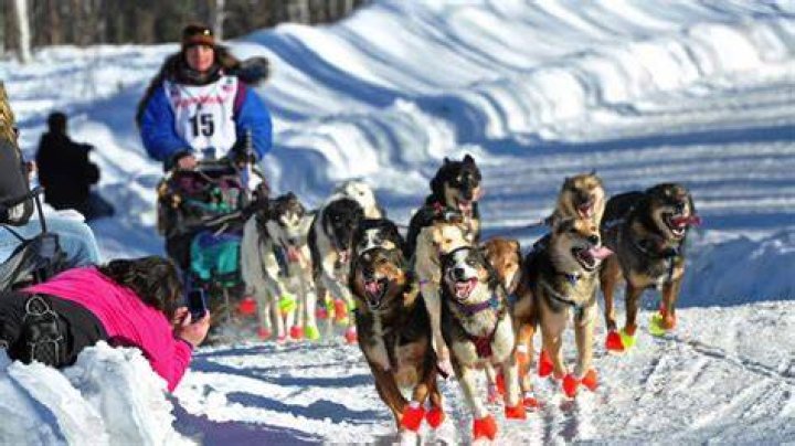 What does Iditarod mean?