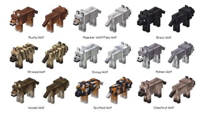 What does it mean to befriend a wolf in Minecraft?
