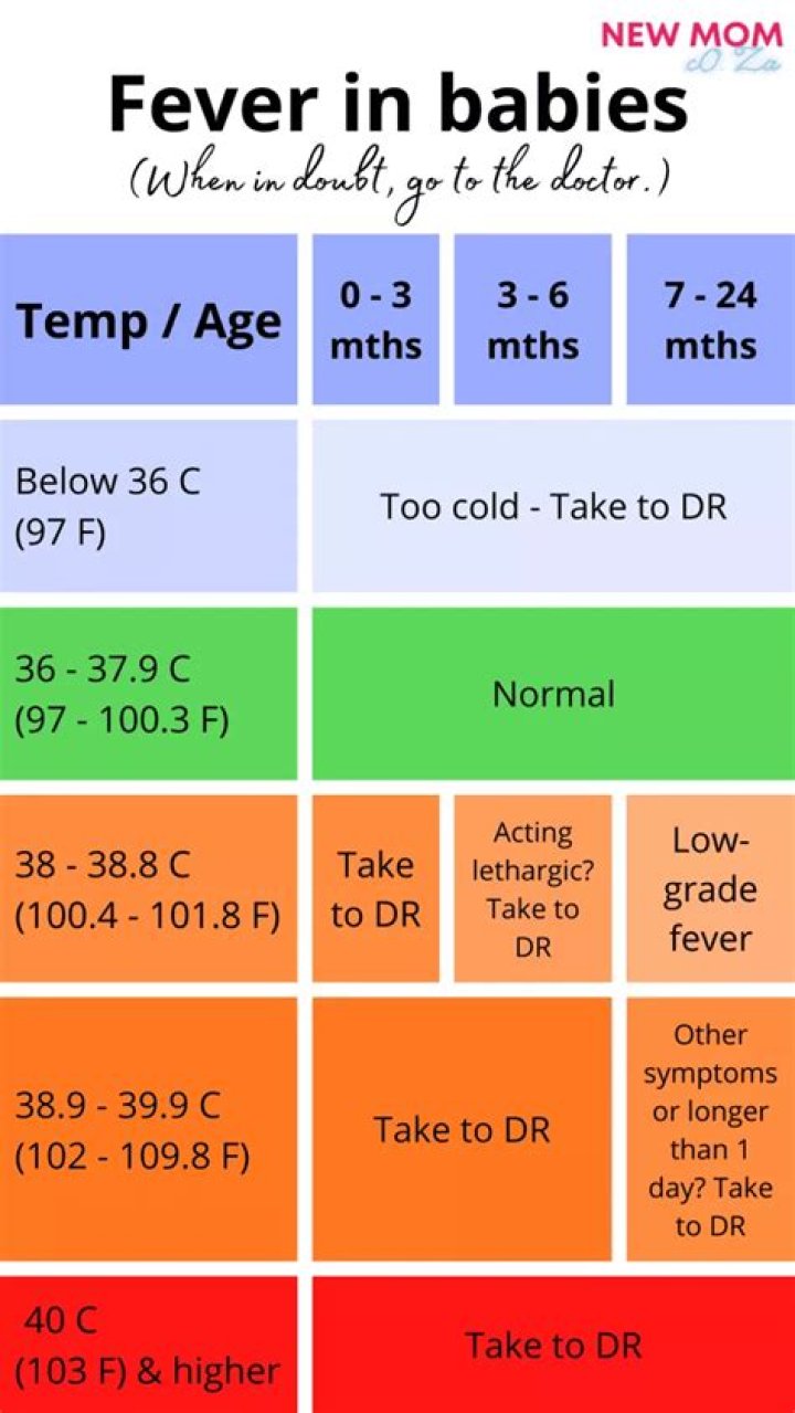 What does it mean when a baby has a fever and is shaking?