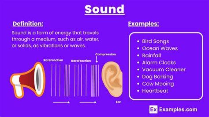What does sound mean in science terms?