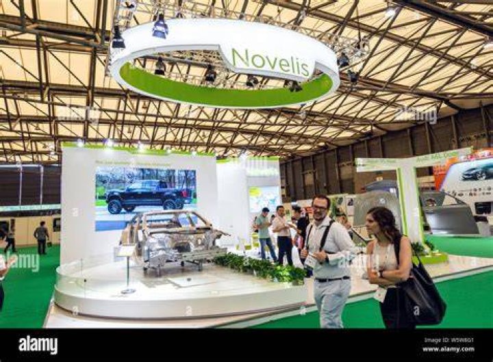What does the company Novelis do?